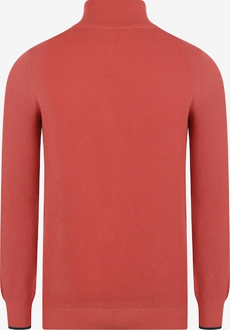 DENIM CULTURE Sweater 'CHESTER' in Orange