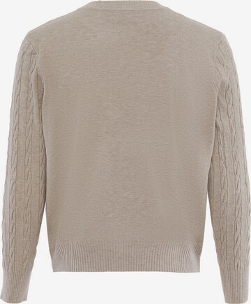 carato Sweater in Beige