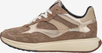 Floris van Bommel Sneaker 'Suvi 05' in Grau: Vorderseite