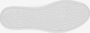 Ethletic Sneaker 'Root II' in Grau