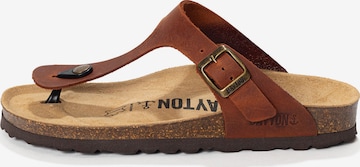 ruda Bayton Šlepetės per pirštą 'MERCURE': priekis