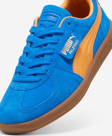 PUMA Trampki niskie 'Palermo' w kolorze niebieski