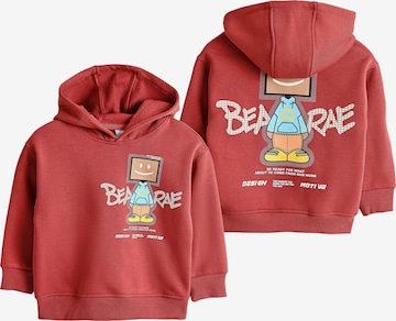 Solang Sweatshirt in Bruin: voorkant