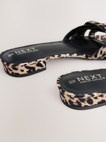 Zoccoletto di Next in colori misti