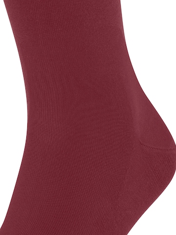 FALKE Cool 24/7 in Rot