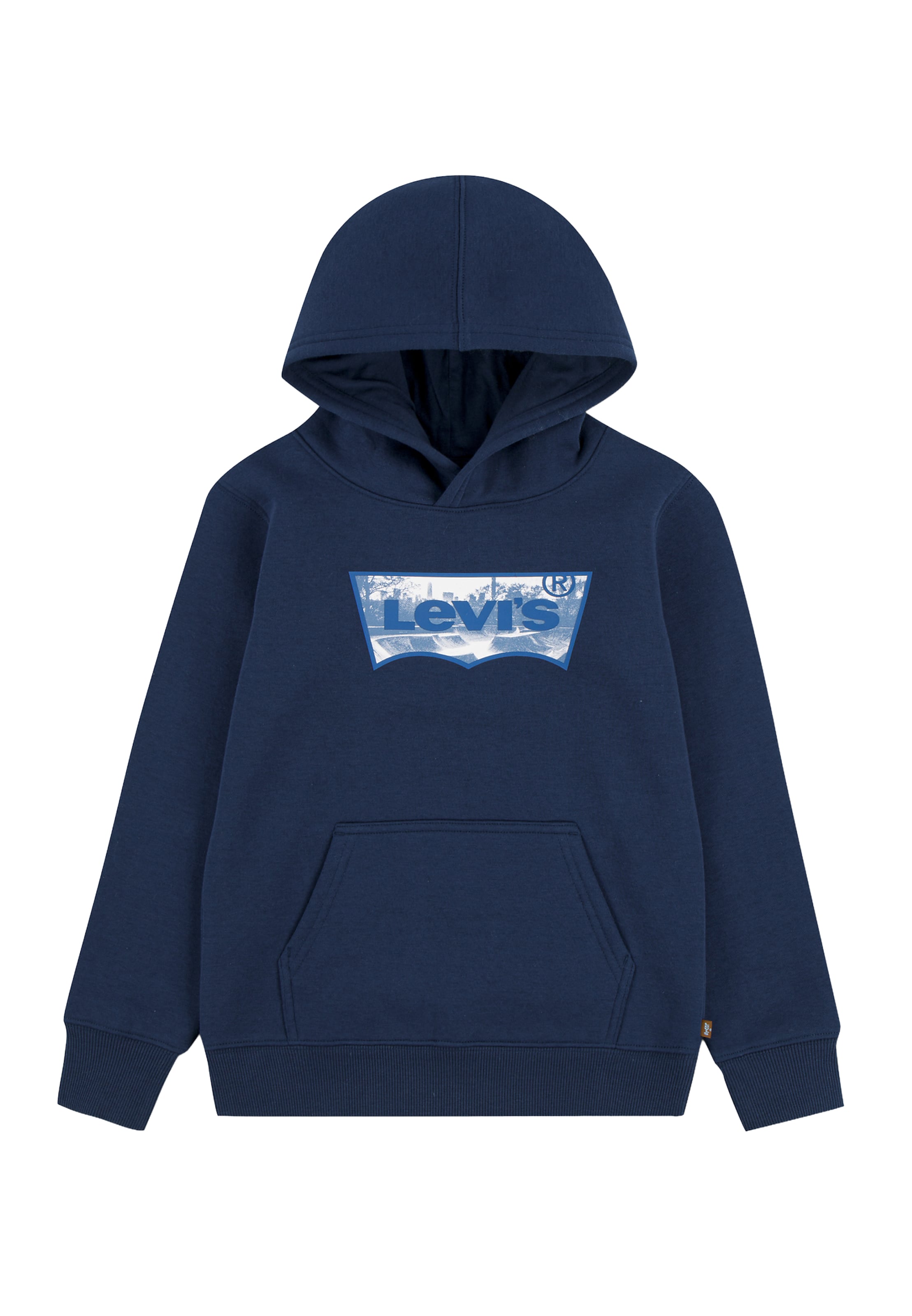 Levi's Kids - Sudadera 'SKATE PARK BATWING' en azul: frente