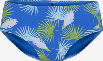 LingaDore Bikini Bottoms in Blue: front