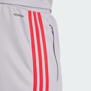 ADIDAS PERFORMANCE - Slimfit Pantalón deportivo 'Squadra 25' en gris