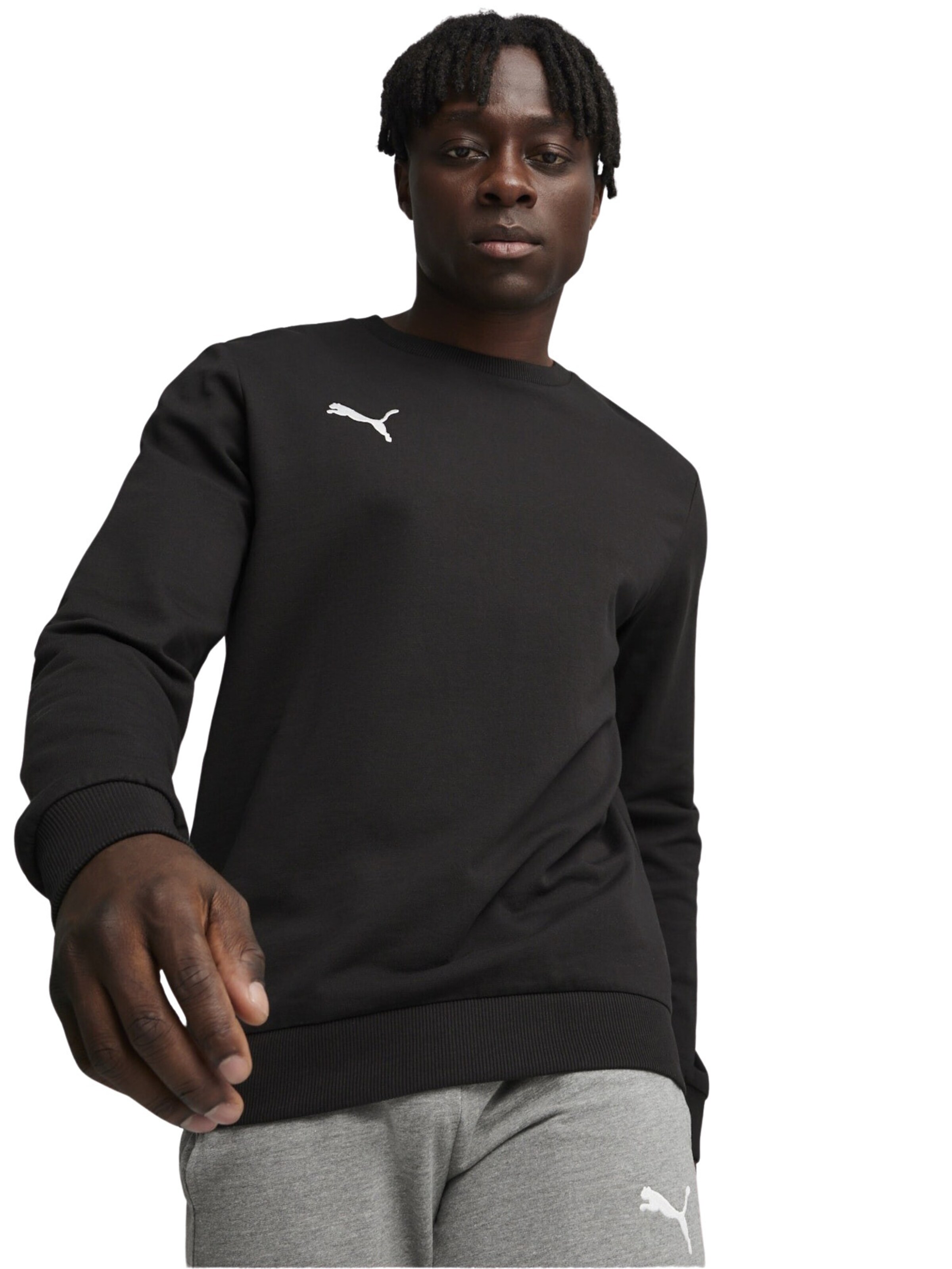 Felpa sportiva 'TeamGoal' di PUMA in nero: frontale