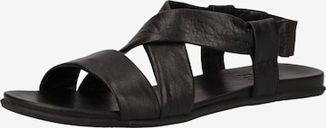 ILC Strap Sandals in Black: front