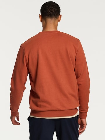 Sweat-shirt Shiwi en marron