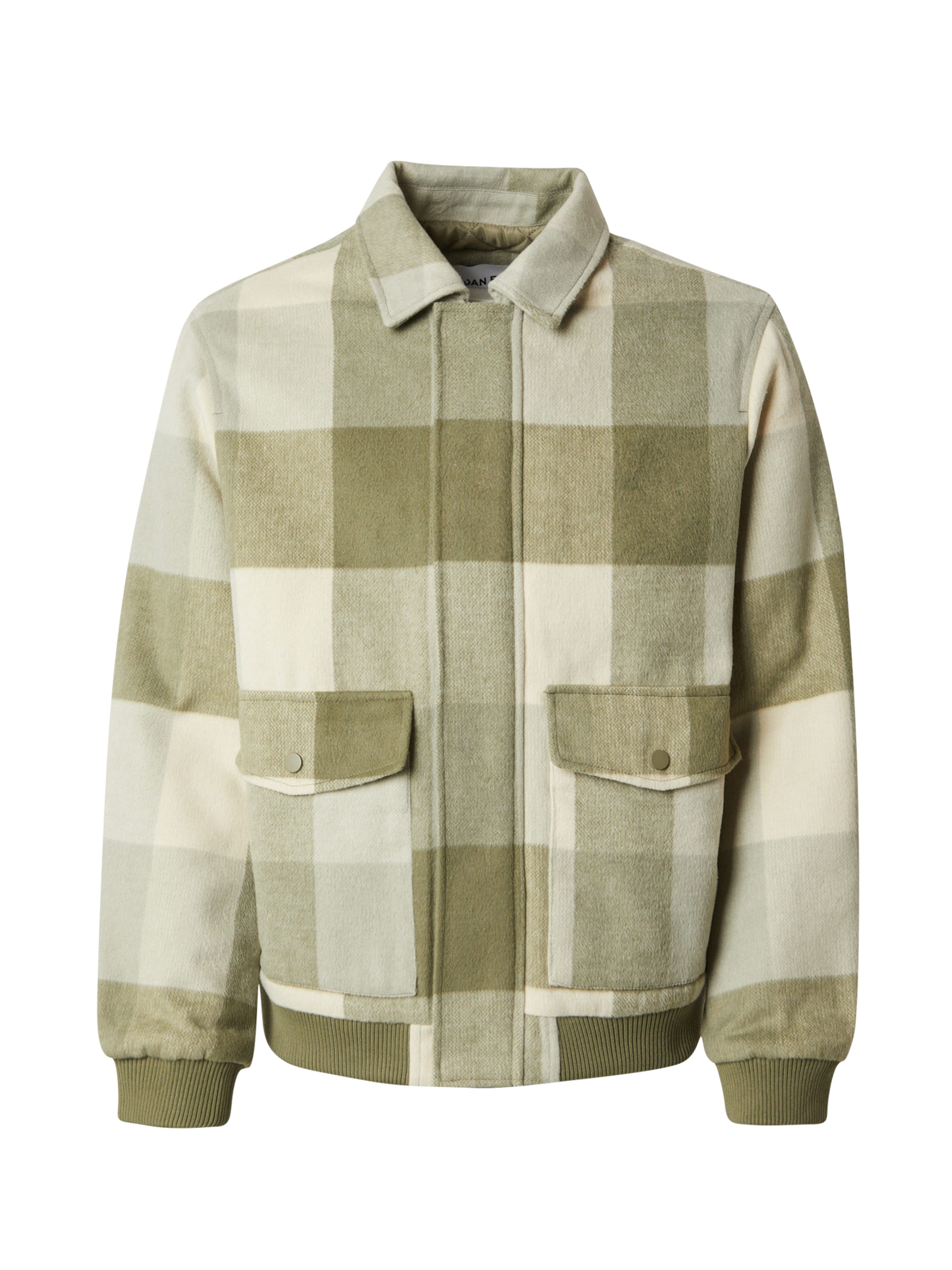 DAN FOX APPAREL Φθινοπωρινό και ανοιξιάτικο μπουφάν 'Taylan' σε πράσινο: μπροστά