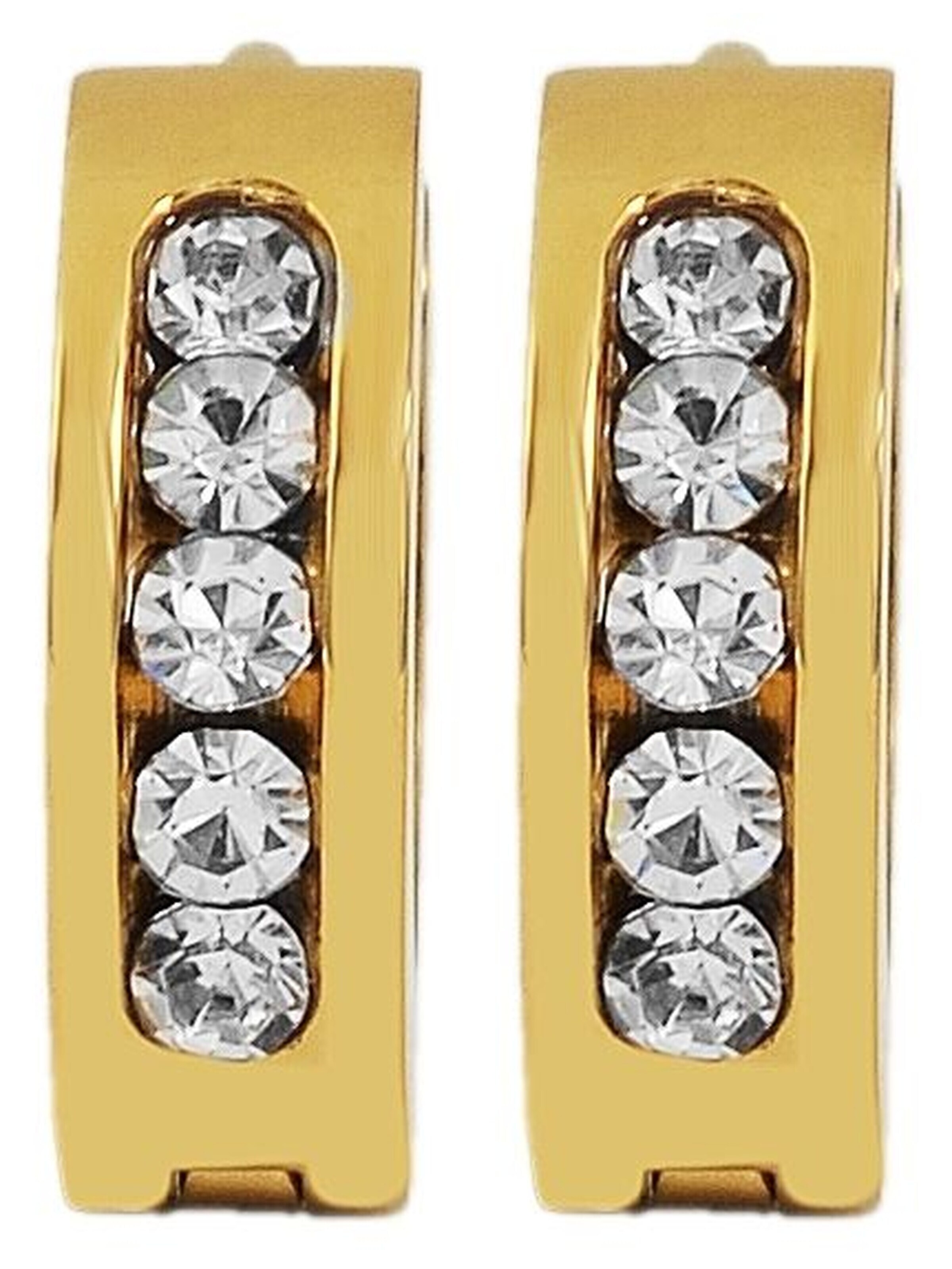 Akzent Earrings 'Zwena, hautverträglich' in Gold: front