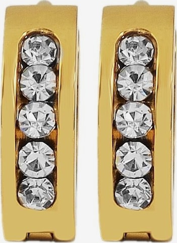 Akzent Earrings 'Zwena, hautverträglich' in Gold: front