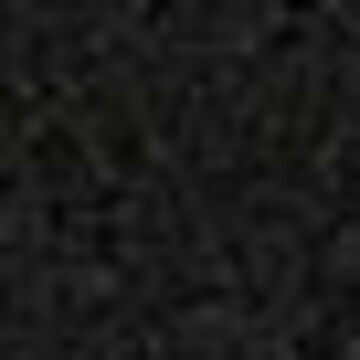 LASCANA Slip in Schwarz