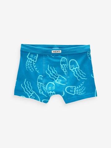 Next Onderbroek in Blauw