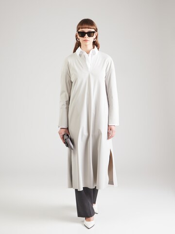 Max Mara Leisure Dress 'RAPACE' in Grey