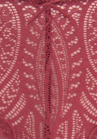 Panty di LASCANA in rosa