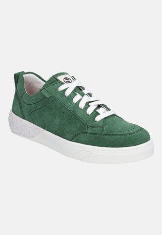 JOSEF SEIBEL Sneakers hoog 'Wilma 03' in Groen