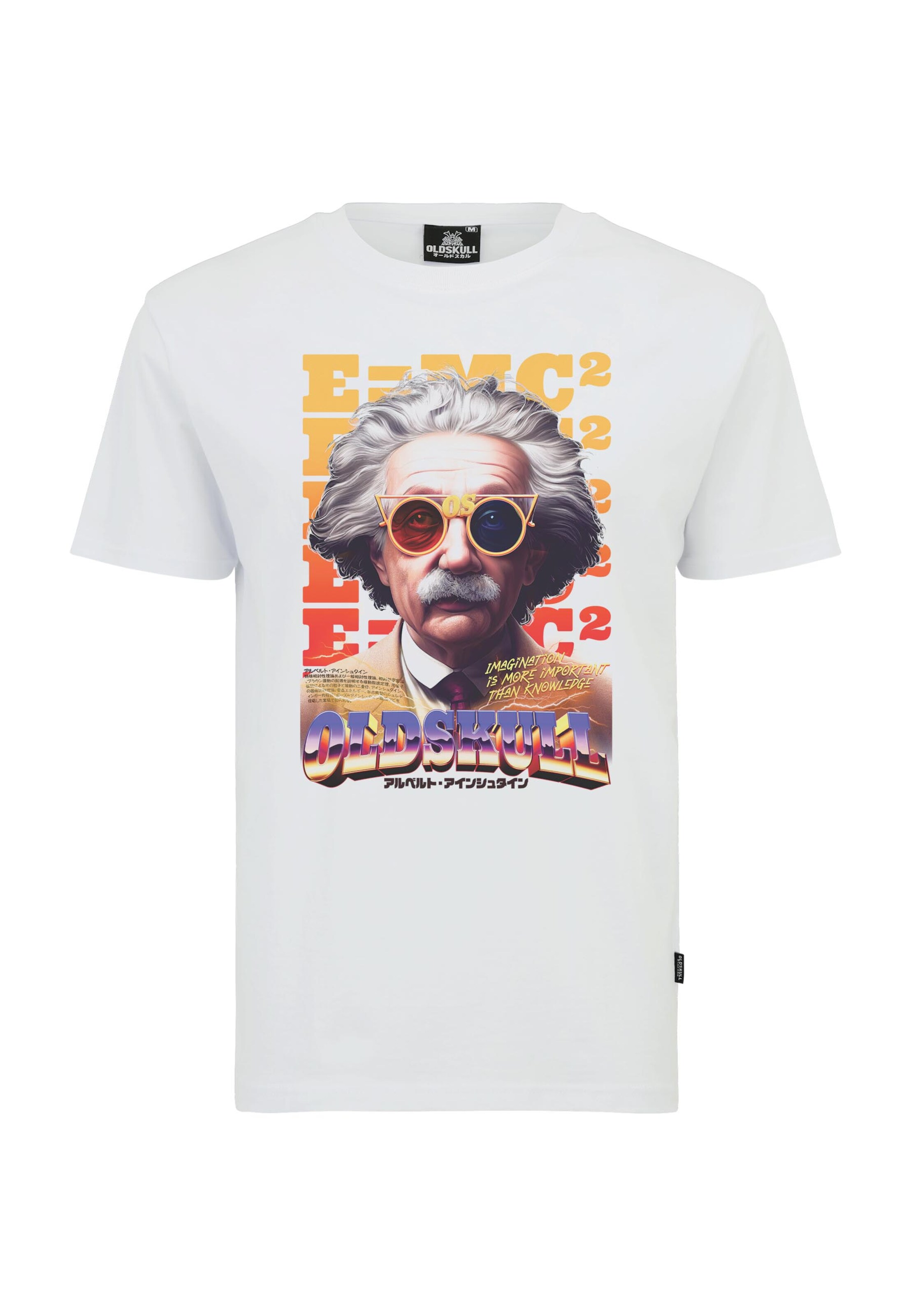 Oldskull Shirt 'Wrldvibe Einstein Graphic' in White: front