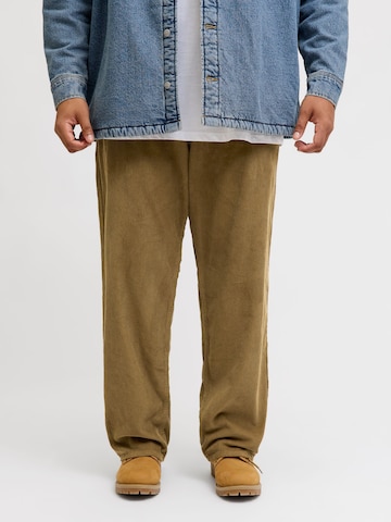 JACK & JONES regular Bukser 'JJ' i brun: forside