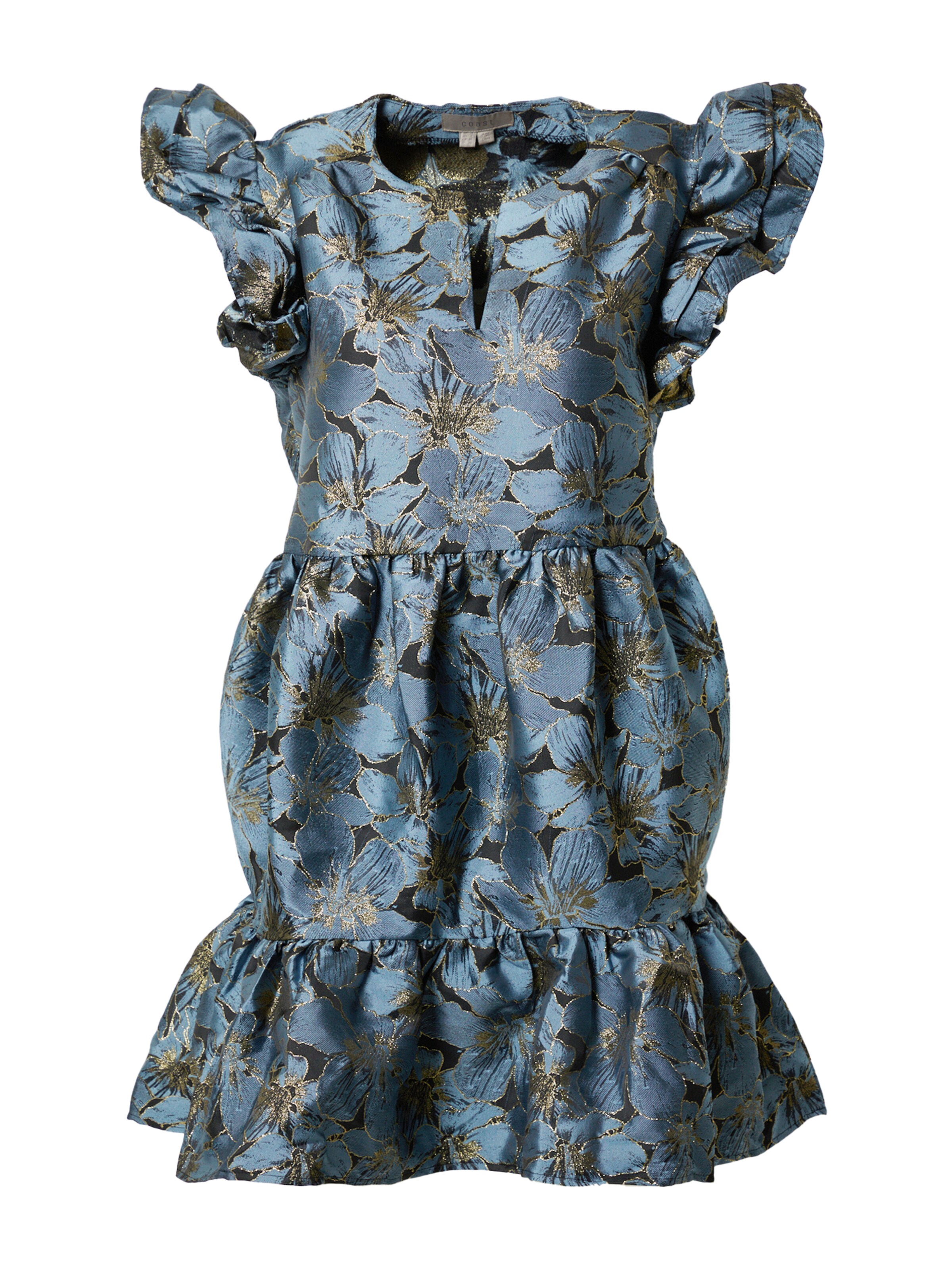 Coast Kleid 'Daisy' in Blau: Vorderseite