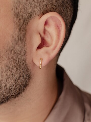 Hey Happiness Earring 'Oval Hoop' in Gold