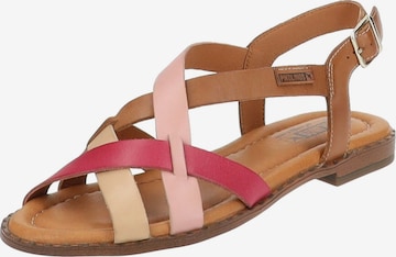 PIKOLINOS Sandalen met riem in Gemengde kleuren: voorkant