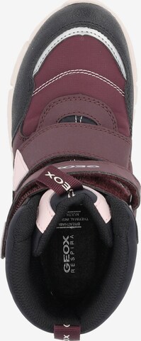 GEOX Boots 'J16APB' in Purple
