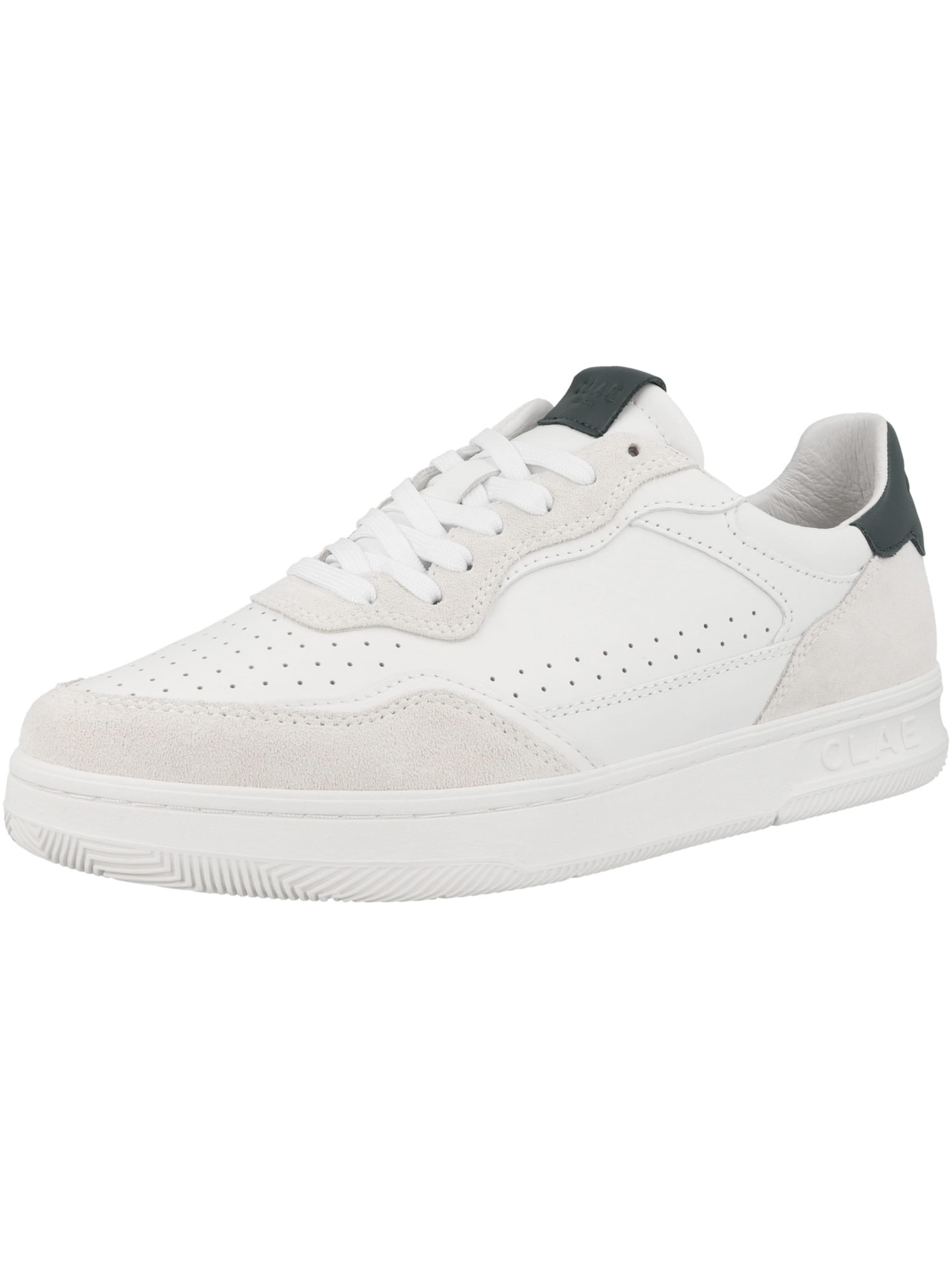 CLAE Sneakers 'Haywood' in White: front