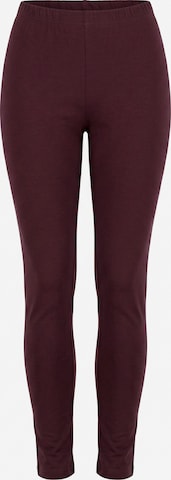 Ulla Popken Leggings in Brown: front