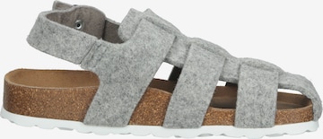 SHEPHERD Slippers in Grey