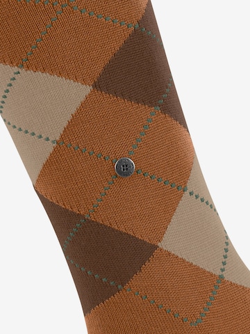 BURLINGTON Over the Knee Socks 'Marylebone' in Brown: front