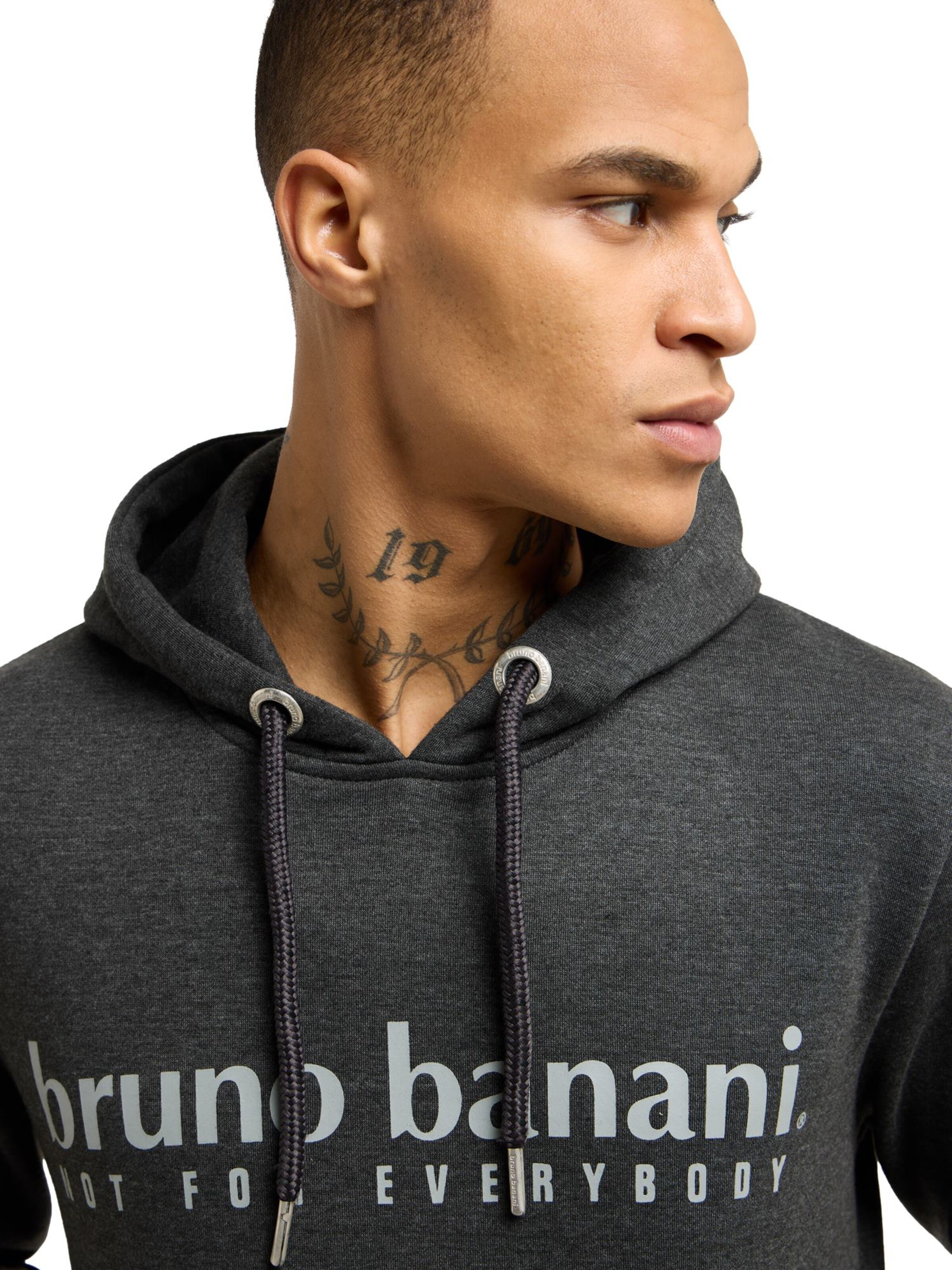 Bruno Banani Sweatshirt 'CARVER' in Grey