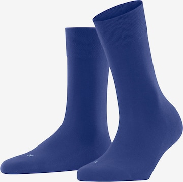 FALKE Socks in Blue: front
