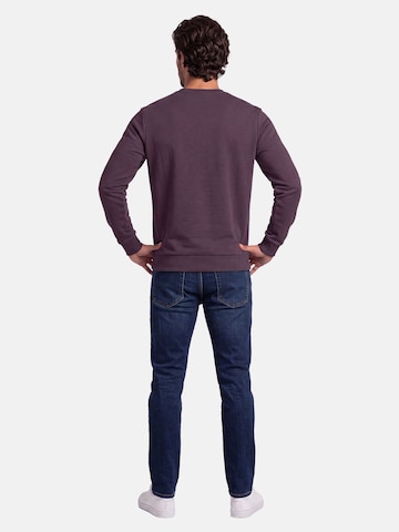 U.S. POLO ASSN. Sweatshirt in Purple