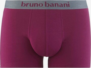 BRUNO BANANI Boxer shorts in Grey