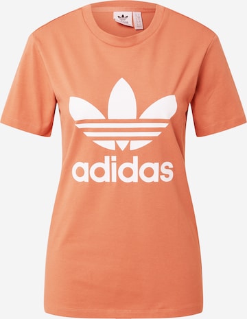 ADIDAS ORIGINALS Shirt 'Adicolor Classics Trefoil' in Brown: front