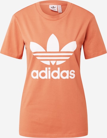 ADIDAS ORIGINALS - Camiseta 'Adicolor Classics Trefoil' en marrón: frente
