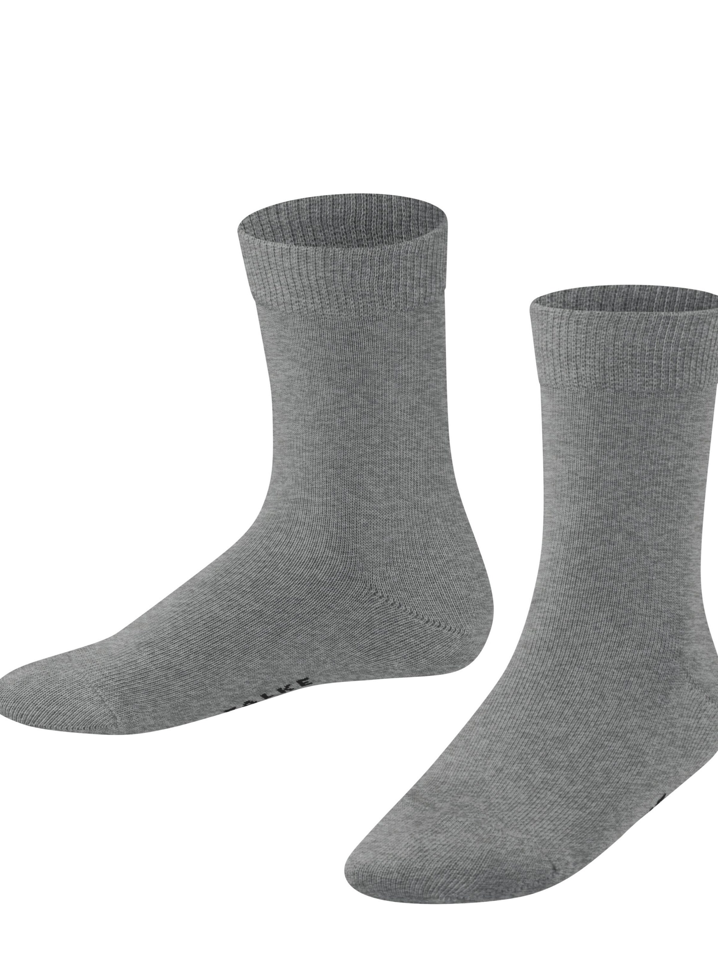 FALKE Socks in Grey: front