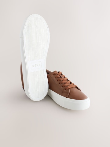 Next Trainers in Brown