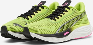 Sneaker de alergat 'Velocity Nitro 3 Psychedel' de la PUMA pe verde
