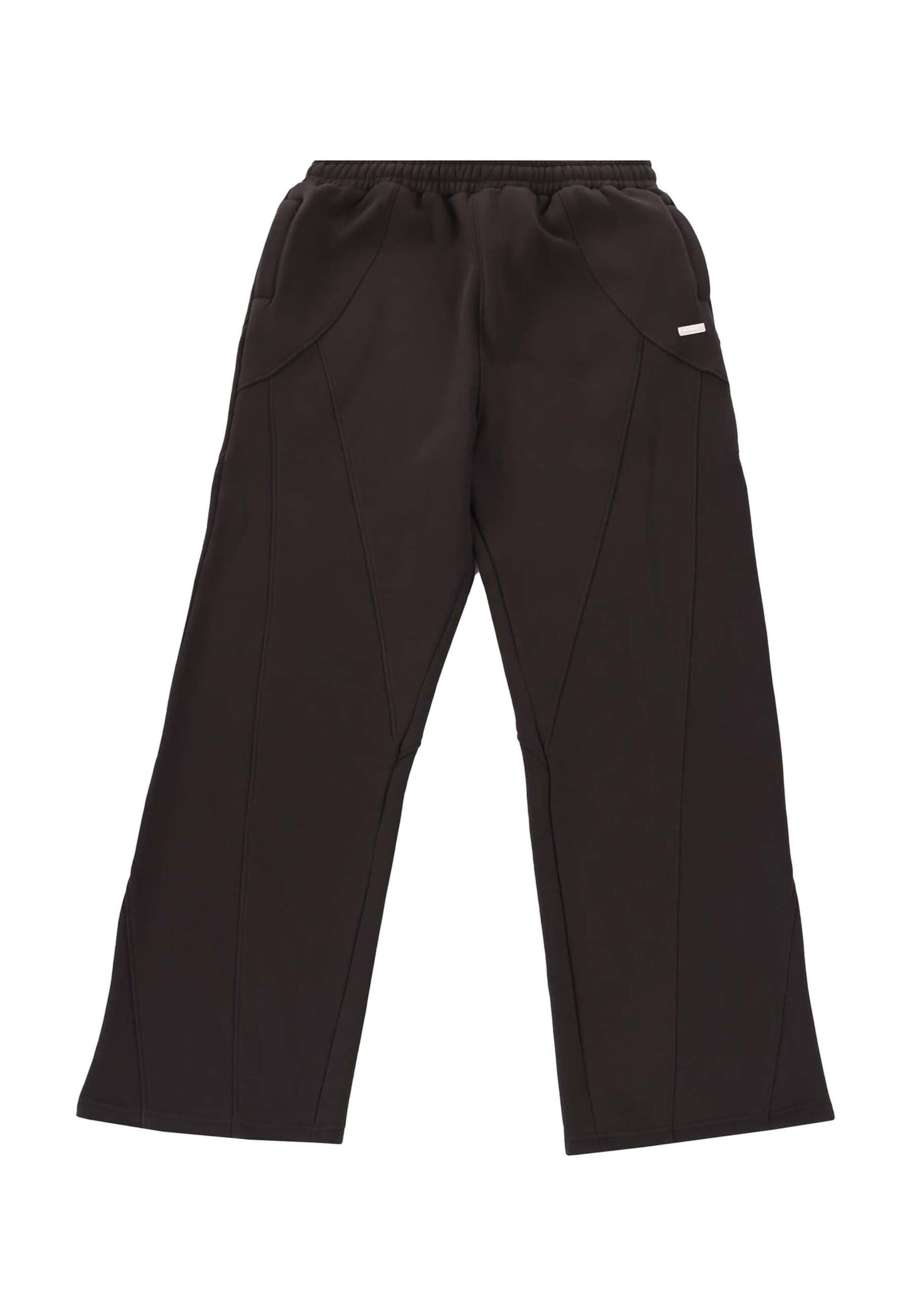 Dropsize Regular Pants 'Seam' in Brown: front