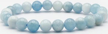Bracelet Tiger Treasure Qualität, inspiriert seit 1890 en bleu : devant