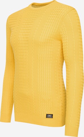 Rusty Neal Sweater in Yellow