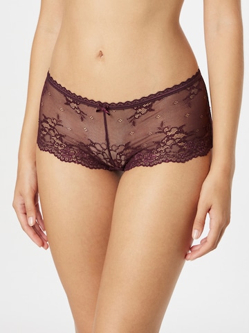 LingaDore Boyshorts 'Daily Lace' in Purple: front