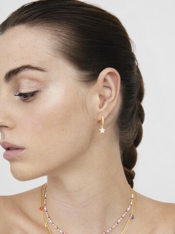 Luxenter Oorbellen 'Wabak' in Goud