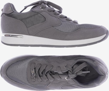 MEXX Sneakers & Trainers in 39 in Grey: front