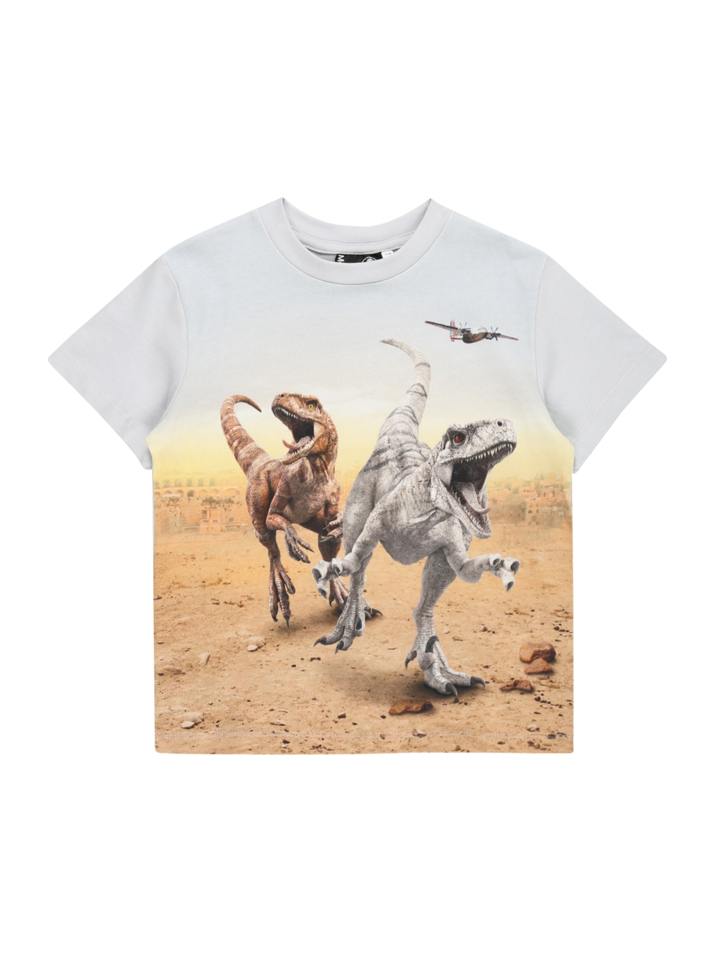 Kinder Kids (Gr. 92-140) Molo T-Shirt 'Roxo' in Grau - XT27799 Kinder Kids (Gr. 92-140) Molo T-Shirt 'Roxo' in Grau - XT27799