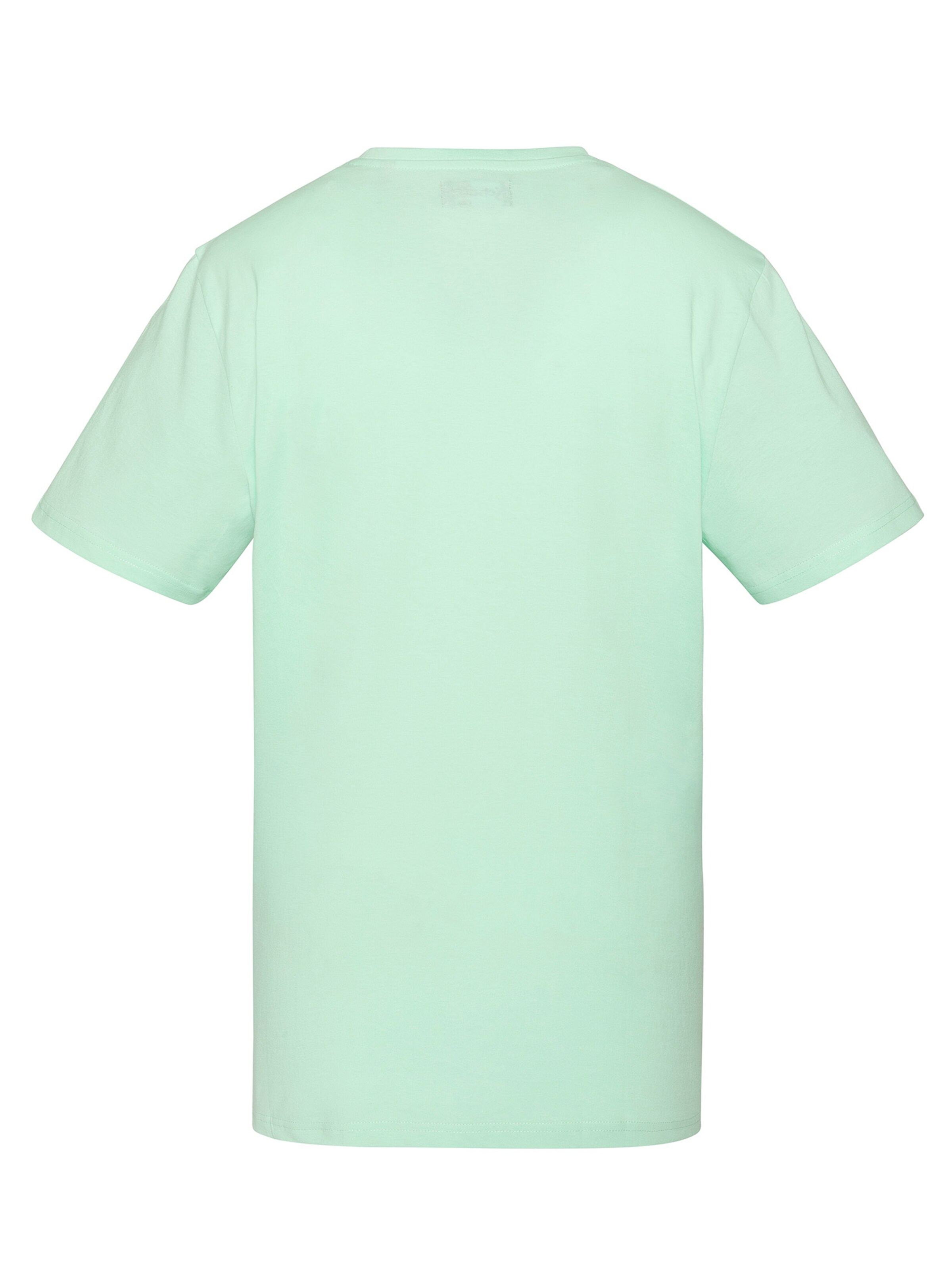 Schott NYC Shirt in Green